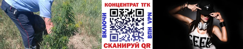 ТГК концентрат  Купить  Сурск 