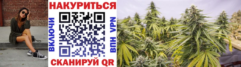 Купить где  Сурск  Шишки марихуана OG Kush 
